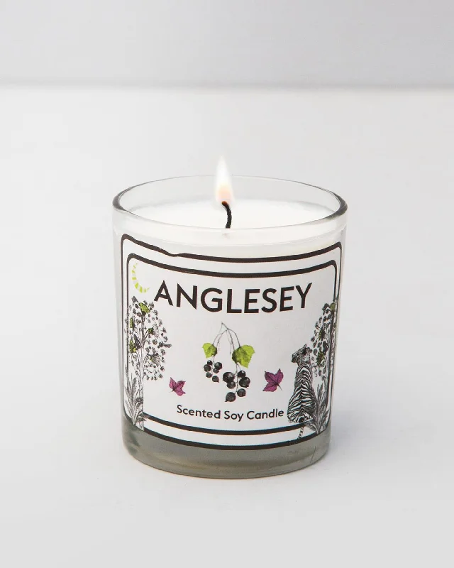 Anglesey Jar Candle Stylish Men's Tropical 